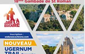 Gambade de St Roman